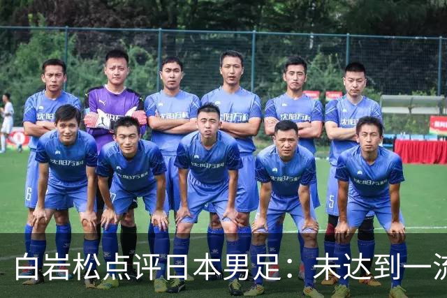 白岩松点评日本男足：未达到一流强队标准，仍需克服对荷兰的恐惧
